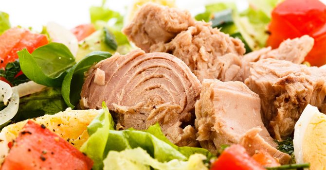 En Lezzetli Protein Ton Balığı